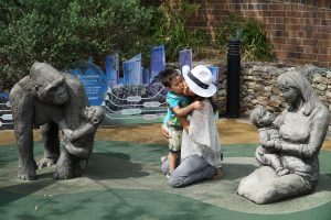 family package to zoo